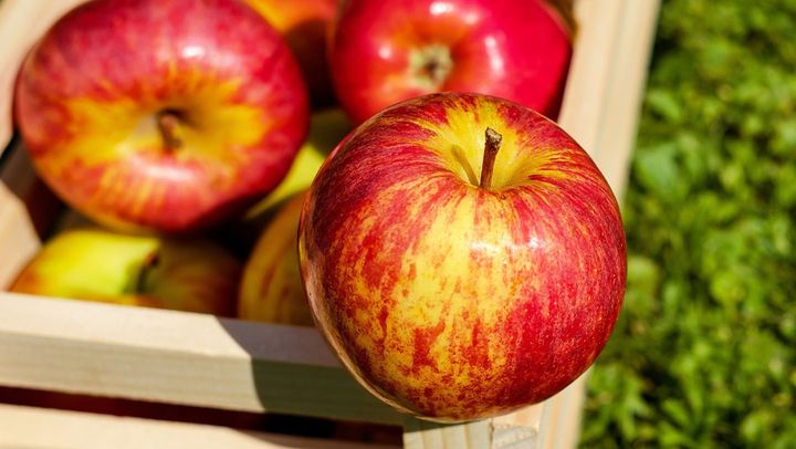 În primele două luni ale anului 2024, R. Moldova a exportat peste 30 de mii de tone de mere