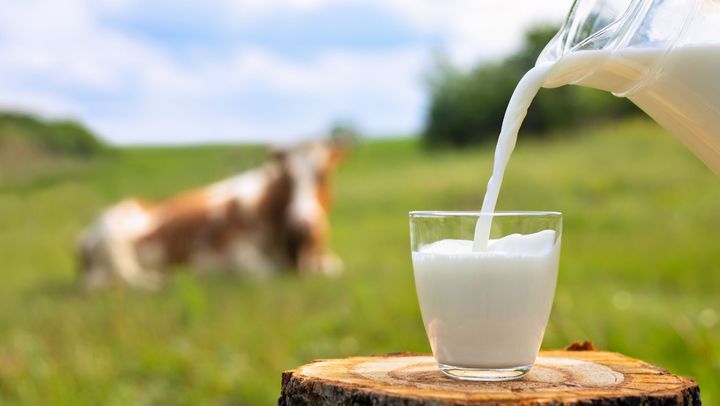 185 de producători de lapte au depus cereri pentru subvenții de peste 69 de milioane de lei