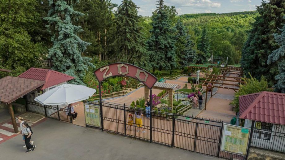 Accesul la Grădina Zoologică va fi gratuit astăzi. Evenimentul care va avea loc