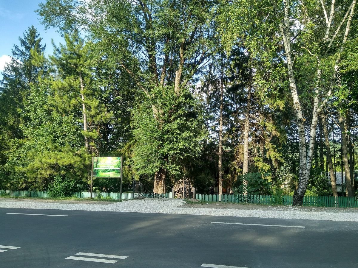 Raportul din ultimul an la Moldsilva: 13 persoane au fost eliberate din funcție, iar altele 300 - sancționate