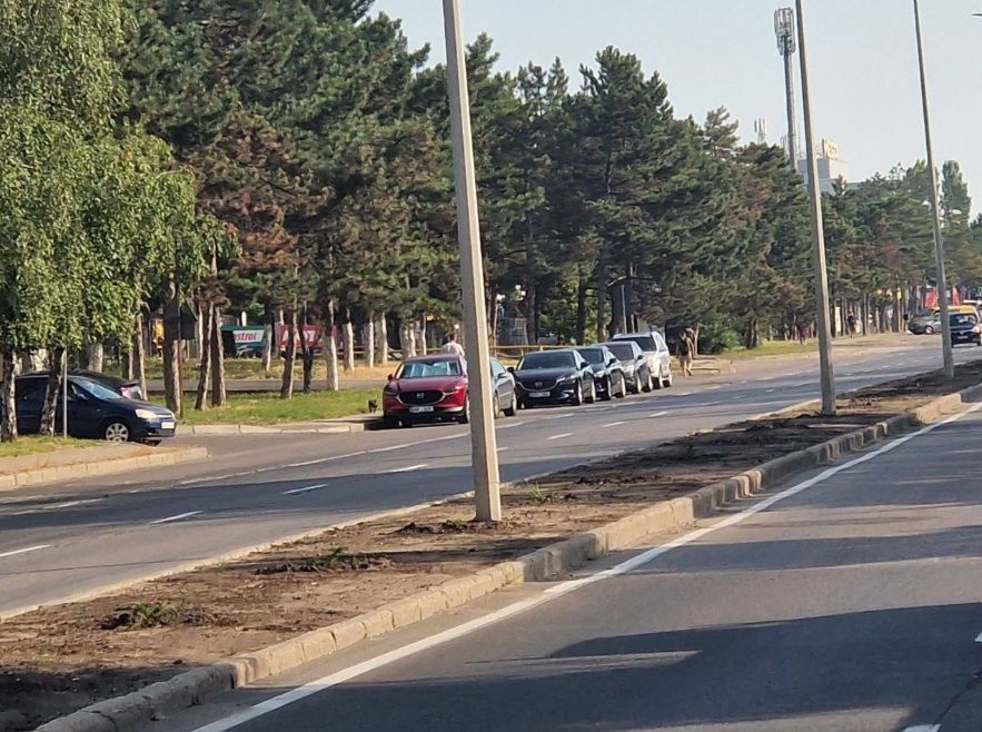 Arbuștii plantați pe o alee din capitală au fost furați noaptea trecută. Primăria a depus plângere la poliție