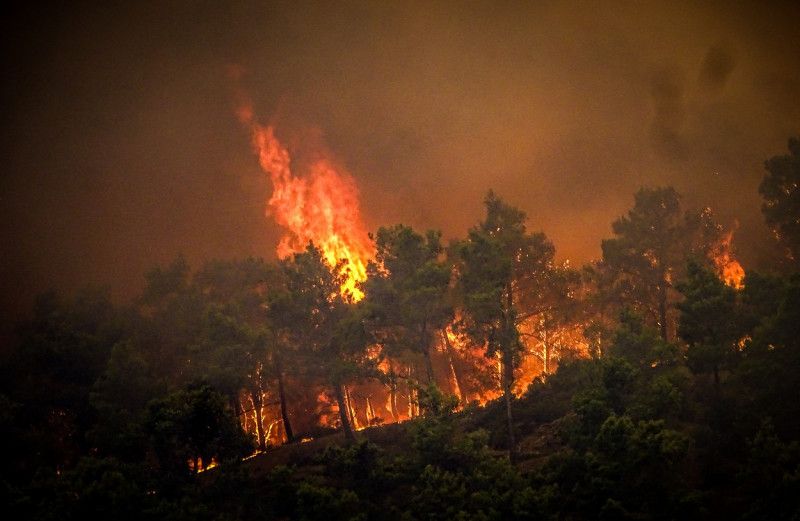 Incendiu de vegetație pe insula Rodos din Grecia: Sute de persoane au fost evacuate