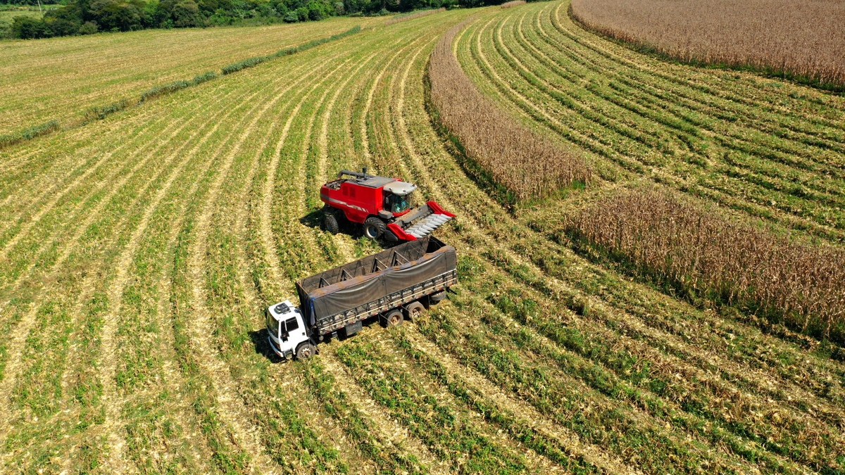 Agrobusiness și dezvoltare rurală - un nou program de studii pentru tineri