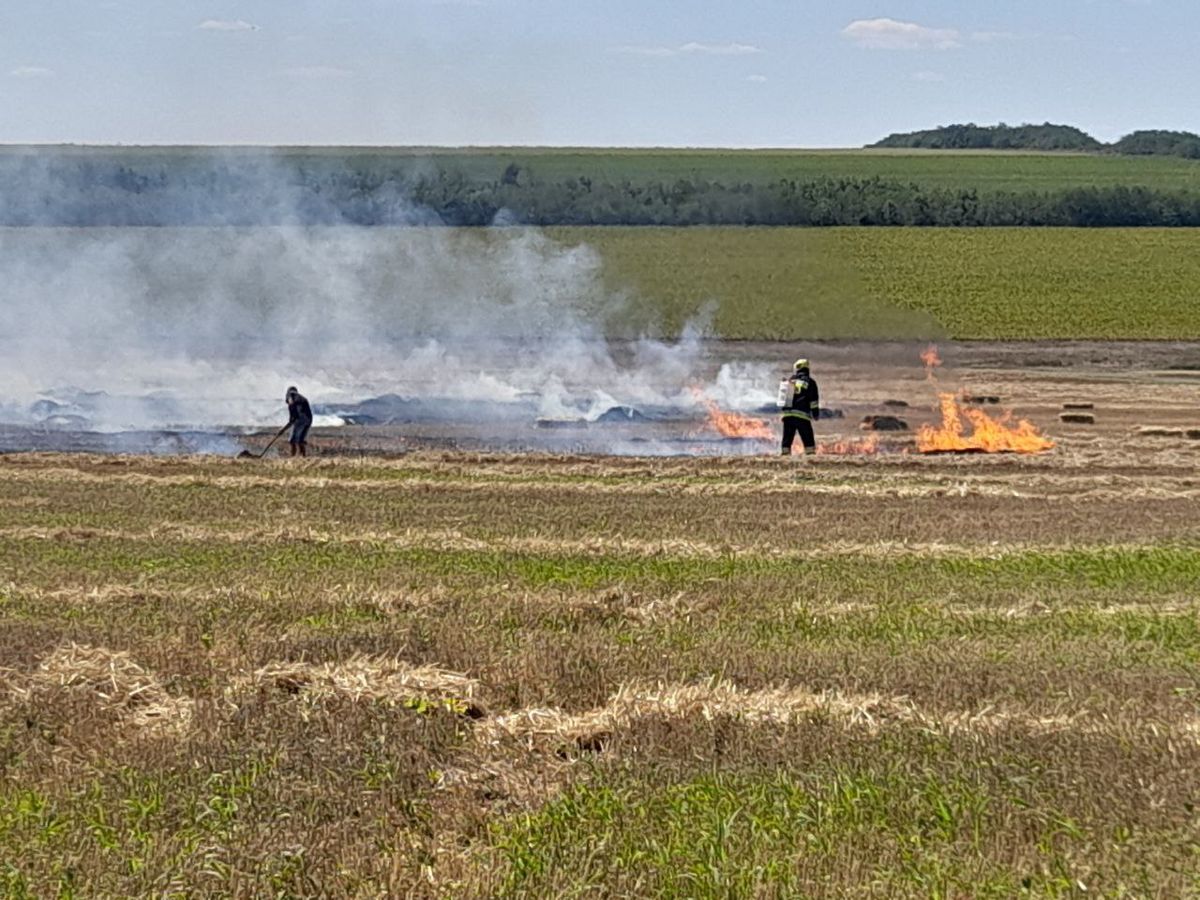 11 cazuri de incendii de vegetație, înregistrate în ultimele 24 de ore. Recomandările IGSU