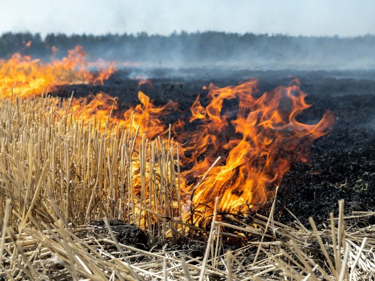 Pericol excepțional de incendiu în toată țara. Ce recomandă IGSU