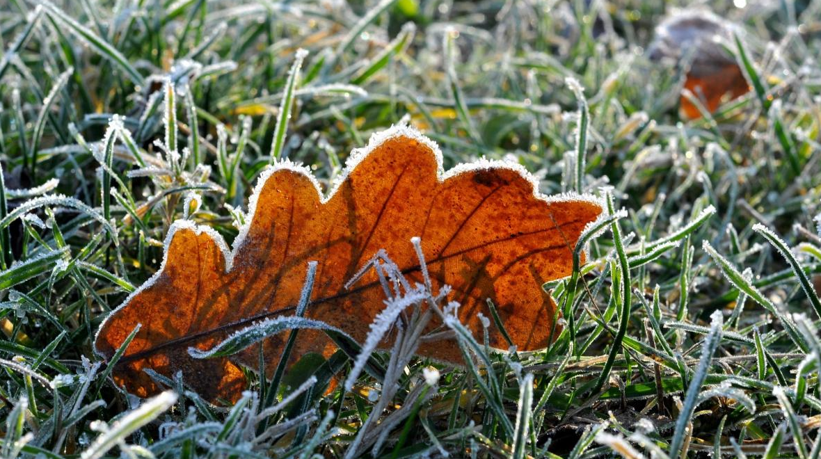 Cod galben de îngheț. Temperatura va coborî până la -5°C