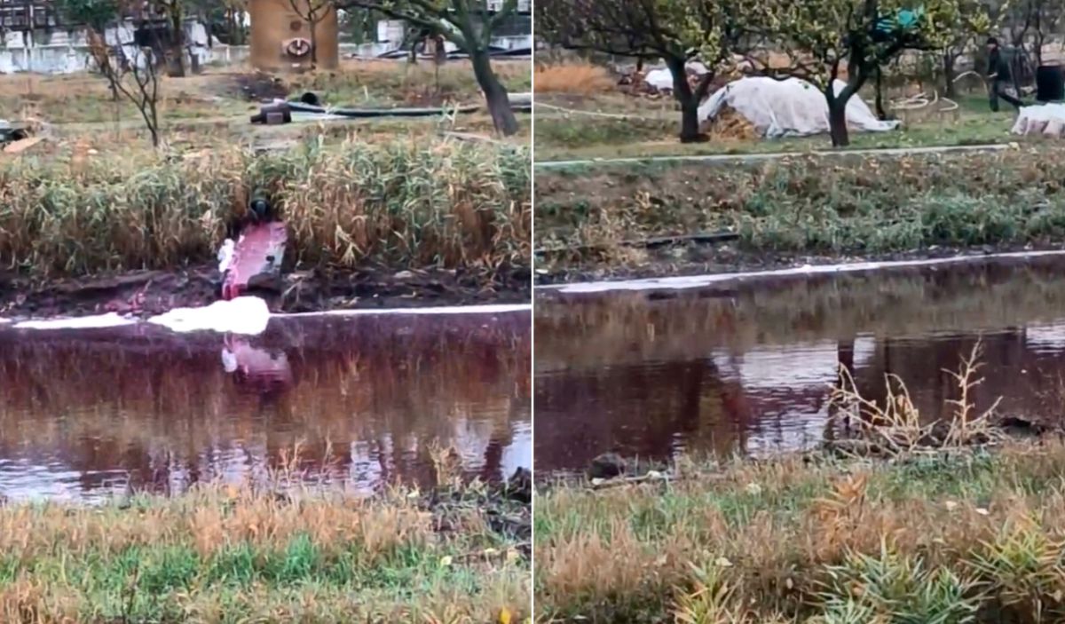 VIDEO/ Iaz de culoarea vinului, la Bardar. ONG de mediu: „Vin, must, ce mai este, dar are miros ca din beci”