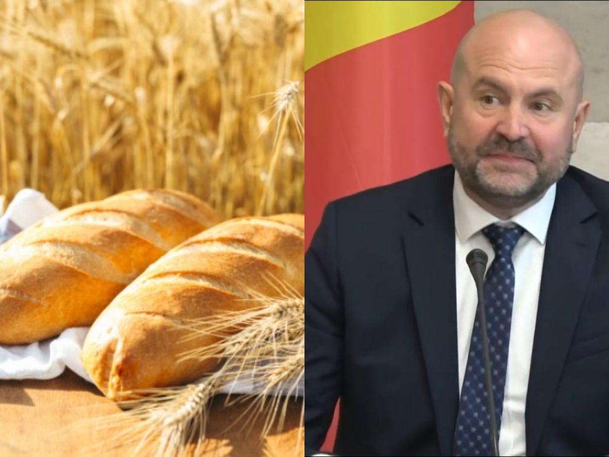 VIDEO/ Prețul la grâu e scăzut, iar cel al pâinii se menține ridicat. Ministrul Agriculturii: „Două lumi paralele”