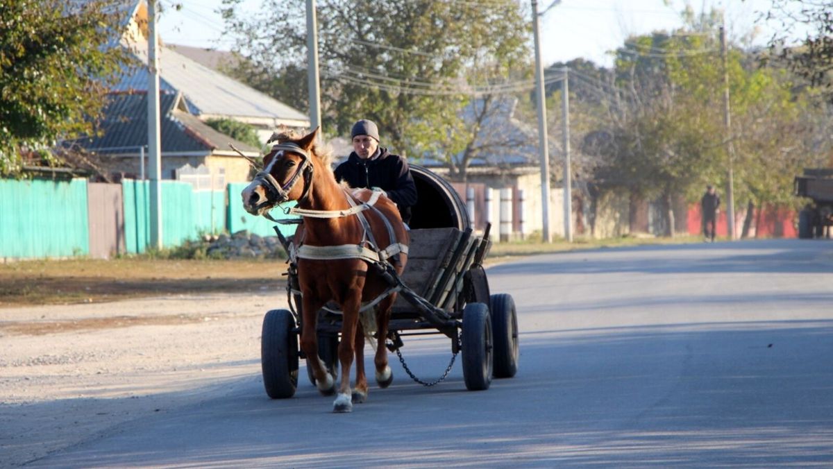 Recensământul populației și locuințelor din R. Moldova va începe pe 8 aprilie și va dura trei luni