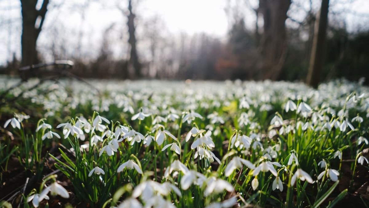 Vremea se menține călduroasă. Ce temperaturi anunță meteorologii pentru următoarele 24 de ore