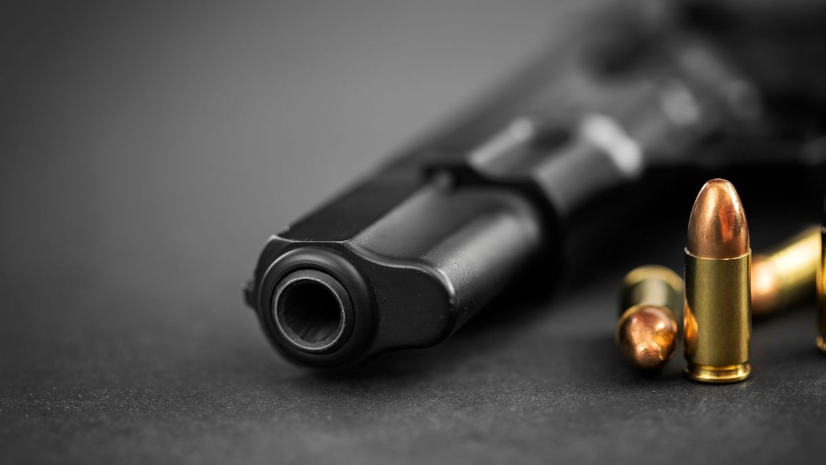 Mai multe tipuri de arme și muniții vor fi interzise. Proiectul, votat în lectura a doua