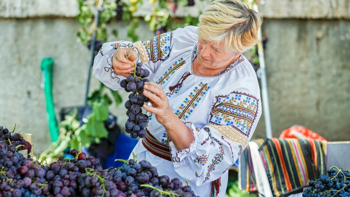 În R. Moldova a fost lansat un nou proiect de asistență tehnică pentru producătorii de struguri de masă