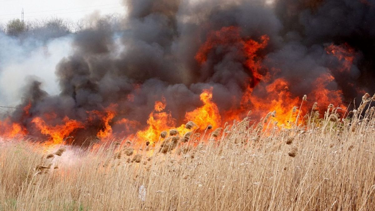 În R. Moldova se atestă pericol de incendii de vegetație. Îndemnul autorităților către cetățeni