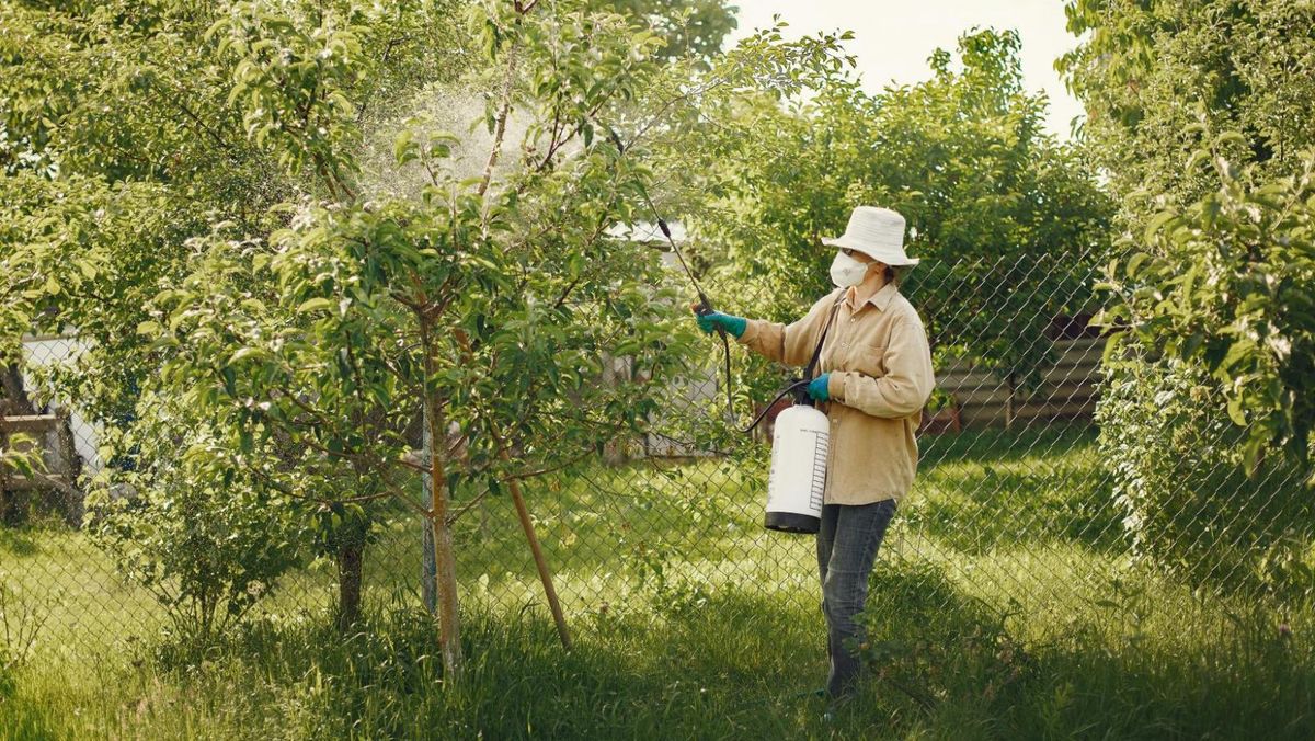 ANSA atenționează cetățenii să fie prudenți la utilizarea pesticidelor