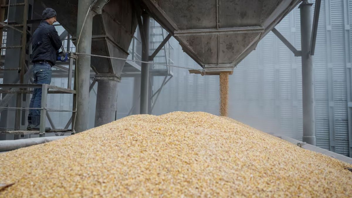 UE se pregătește să impună taxe la importurile de cereale din Rusia și Belarus - presa