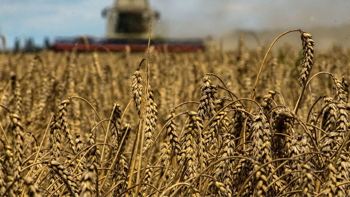 UE a ajuns la un acord provizoriu privind prelungirea importurilor agricole din Ucraina fără taxe vamale
