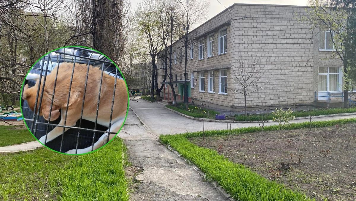 Un bărbat și un copil au fost mușcați de un câine maidanez pe teritoriul unei grădinițe din Chișinău