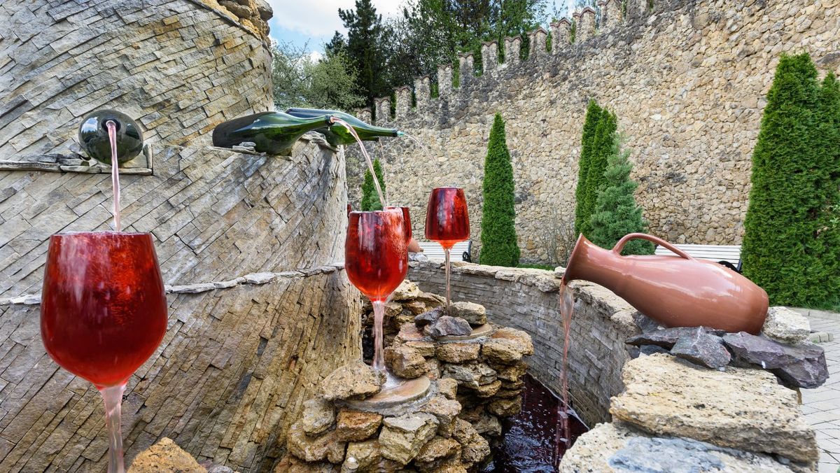 Produsele vitivinicole din R. Moldova vor fi analizate după tehnologii moderne