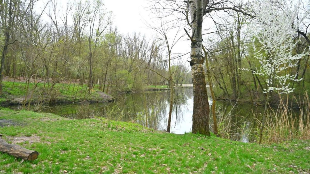 Parcul - pădure dintre sectoarele Rîșcani și Ciocana din capitală va fi reabilitat