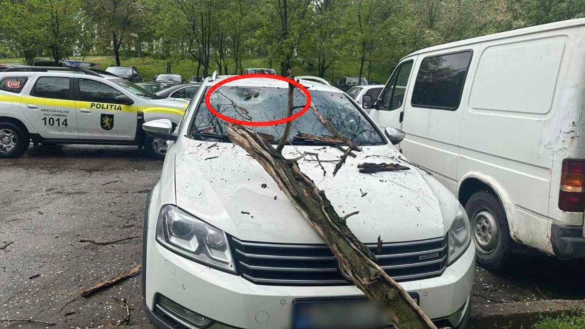 Atenție! Mai multe mașini au fost deteriorate de crengile copacilor rupți de vânt. Recomandările Poliției
