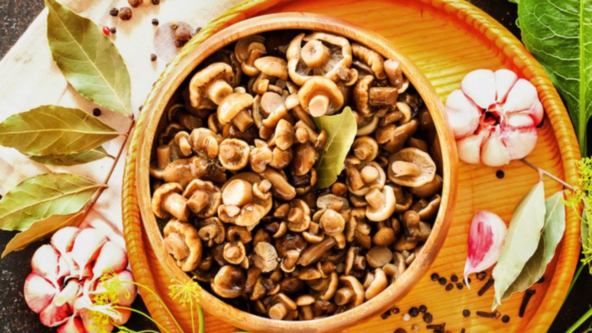 Ciuperci conservate cu „miros nespecific”: ANSA anunță retragerea unui lot din comerț