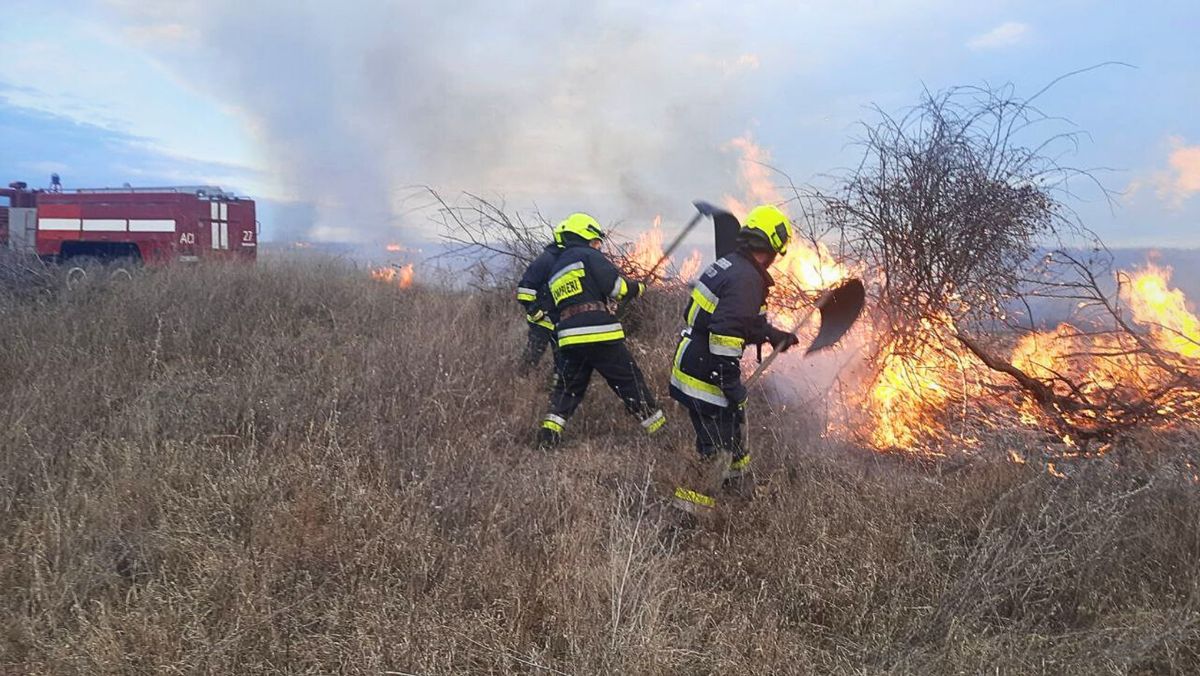 Peste 2.600 de hectare de vegetație uscată au fost distruse de incendii, de la începutul anului