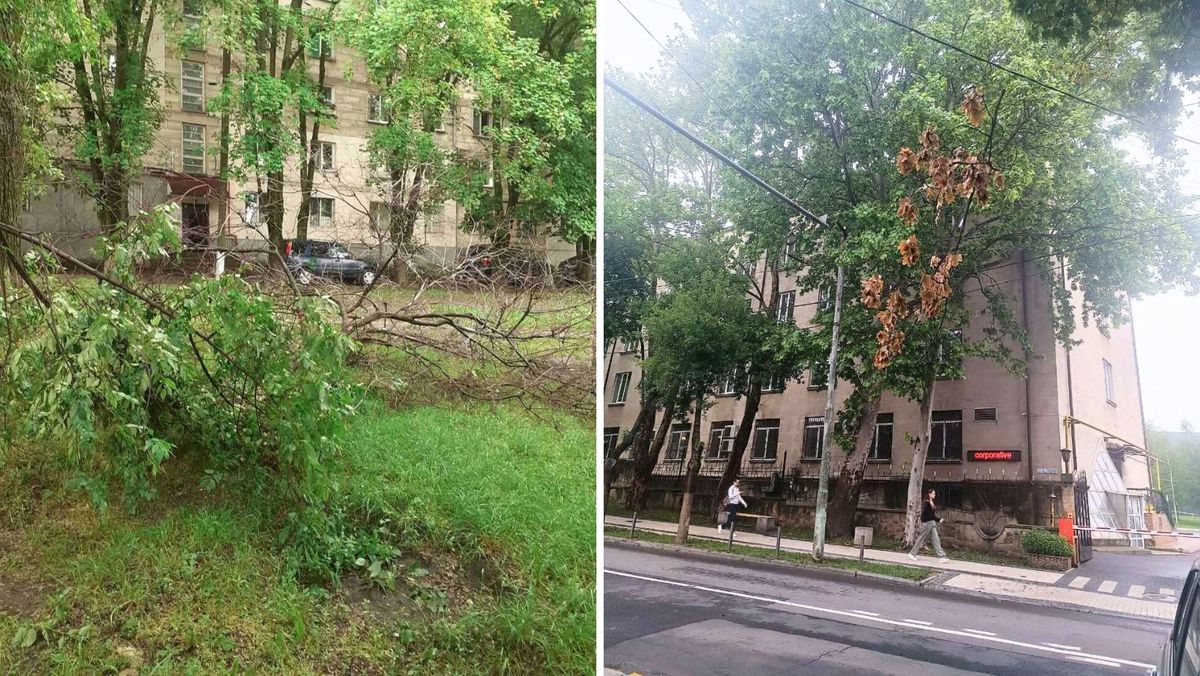 FOTO/ Crengi rupte și străzi inundate în capitală. Consecințele ploii abundente din seara zilei de 29 mai