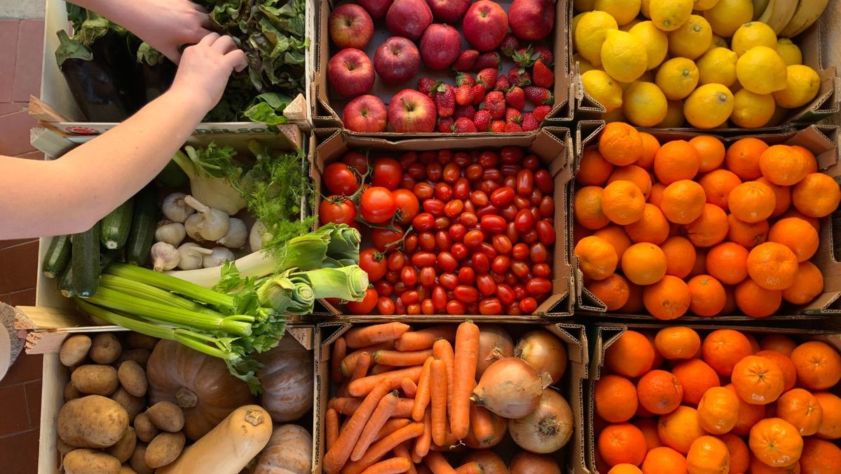 ANSA atenționează agenții economici: Fructele și legumele importate vor fi plasate pe piață după testarea de laborator