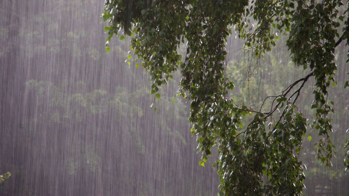 Ploi cu descărcări electrice. Meteorologii au emis un nou cod galben de instabilitate atmosferică