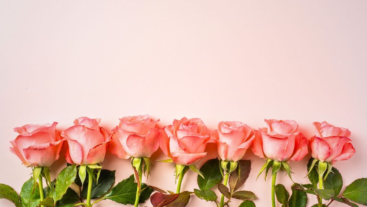 În ultimii trei ani, R. Moldova a exportat peste 3,5 milioane de butași de trandafir
