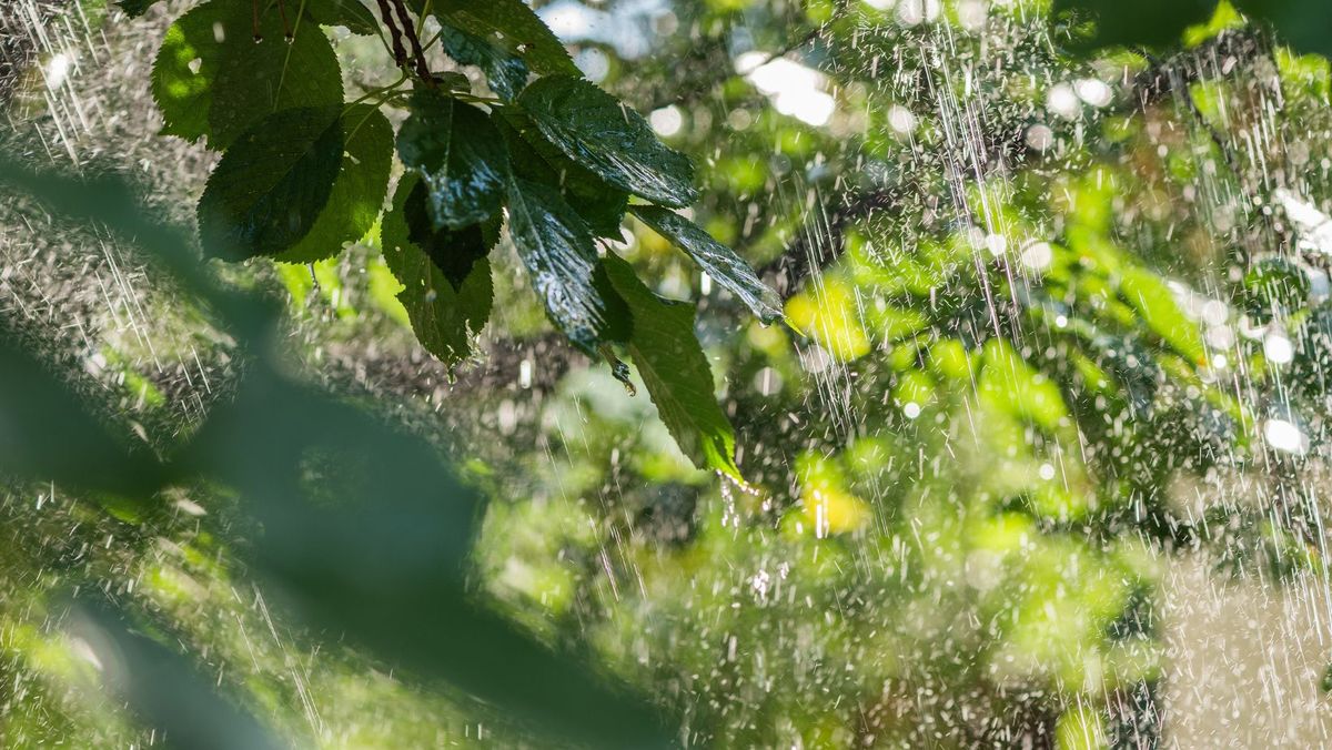 Vin ploile! Meteorologii au emis cod galben de instabilitate atmosferică