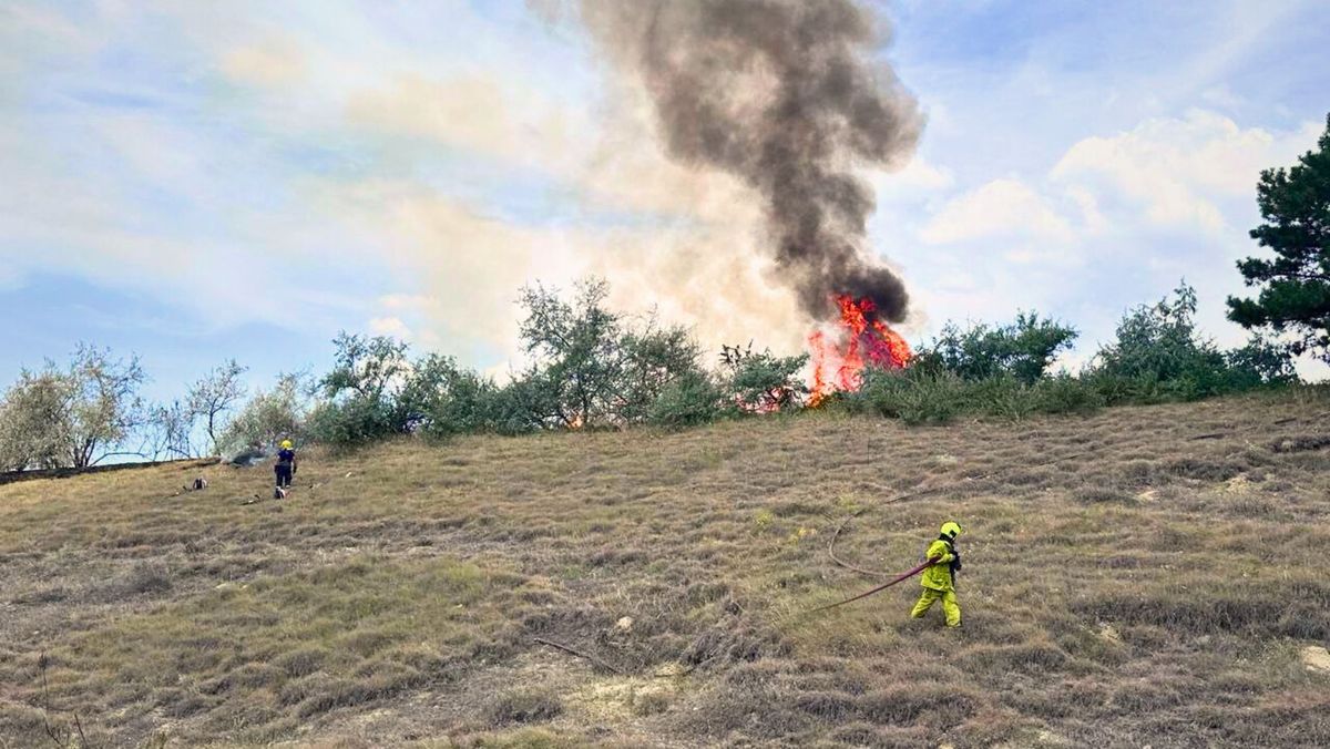 Peste 120 de hectare de teren, nimicite de flăcări în ultimele 24 de ore. Avertismentul pompierilor