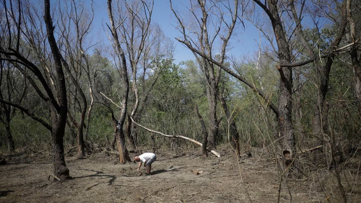 Trei drone rusești au ajuns peste Prut. Resturile unui aparat de zbor fără pilot au fost găsite în Tulcea