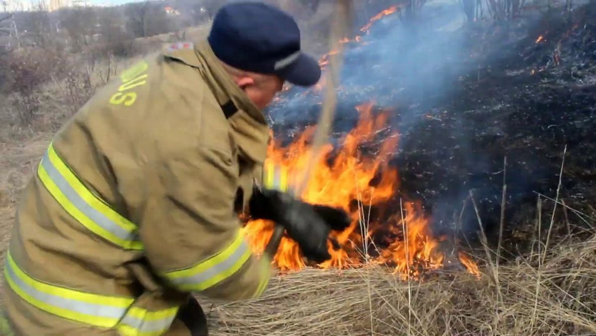 Incendiu de vegetație la Cantemir: Cinci case părăsite au fost afectate de flăcări. Un bărbat a murit