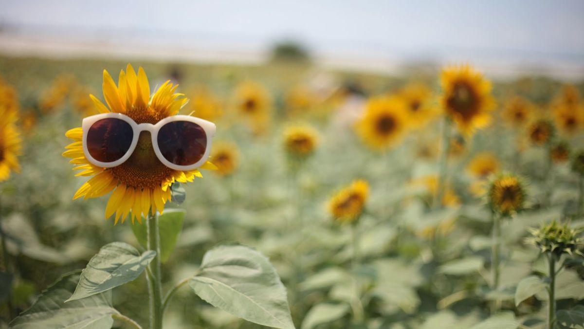 Cer predominant senin și maxime de până la +33°C. Prognoza meteo pentru prima zi de weekend