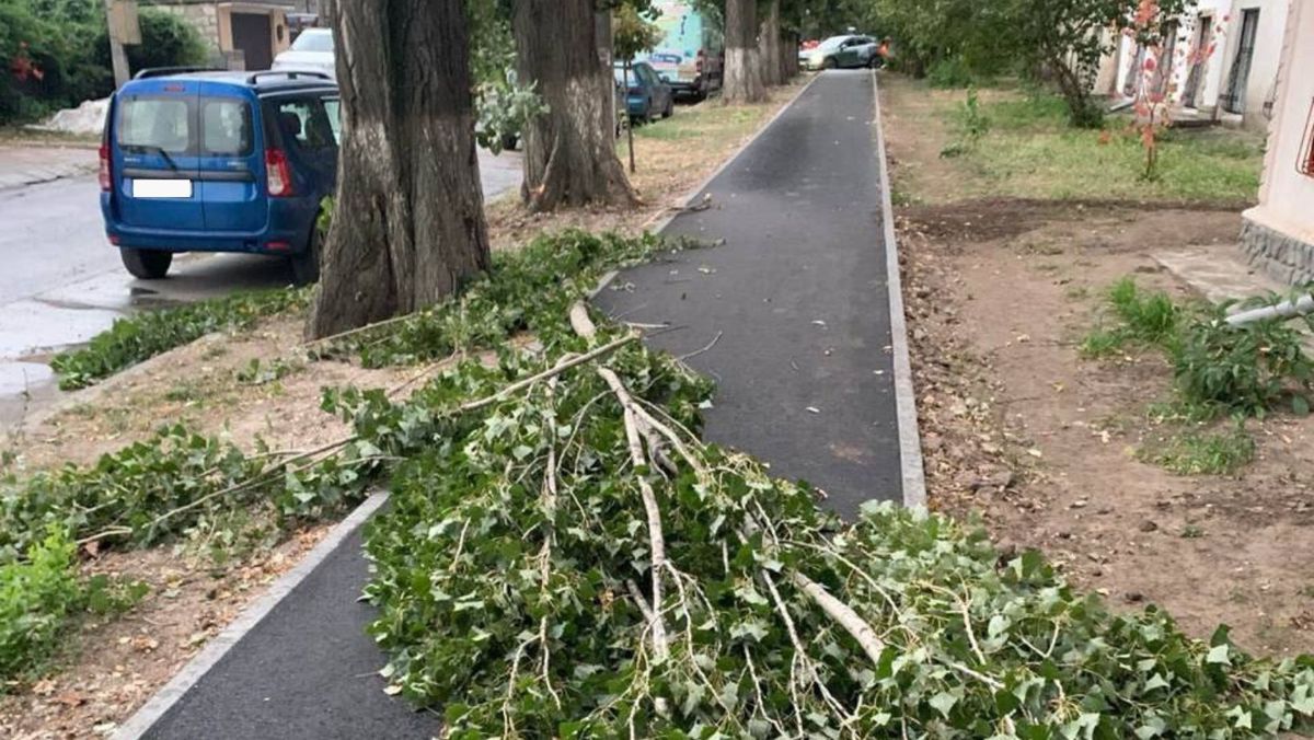 FOTO/ Vântul puternic din seara zilei de marți a doborât mai mulți copaci în Chișinău