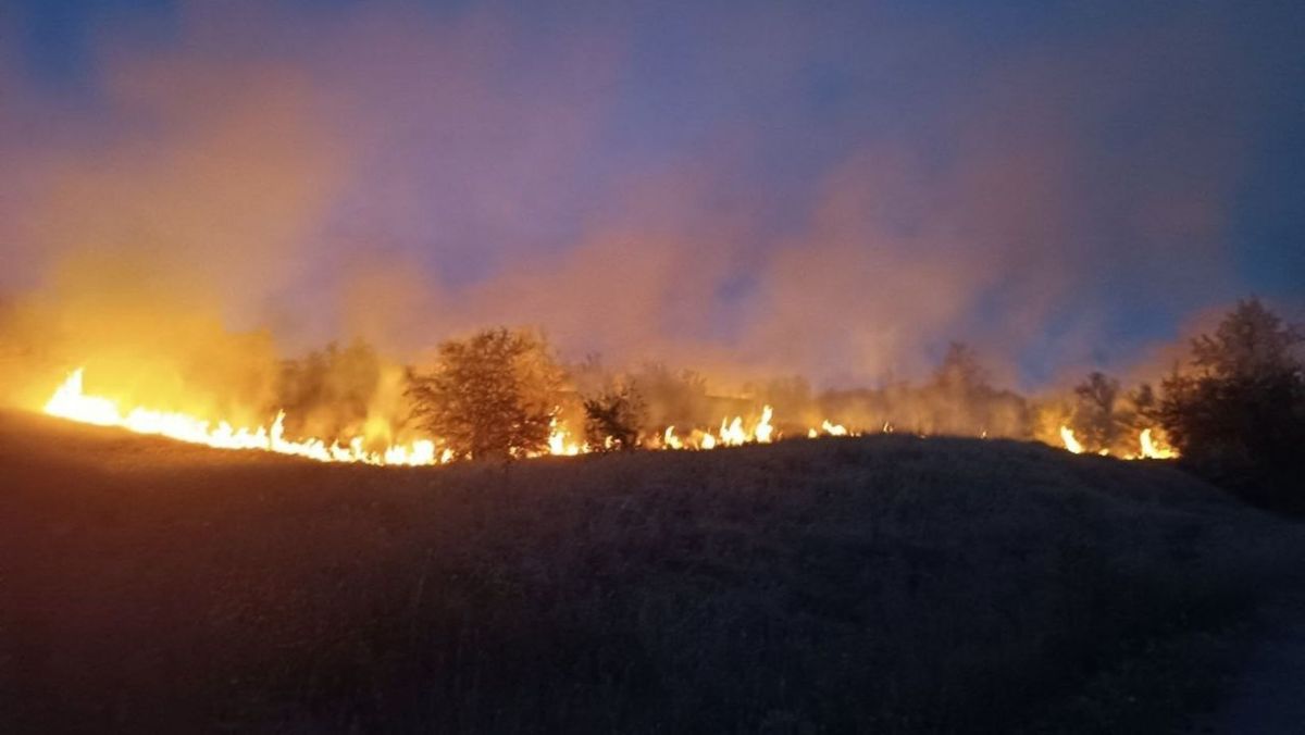 VIDEO/ Incendiu de vegetație în satul Frăsinești, la frontiera moldo-română. Au intervenit zeci de localnici