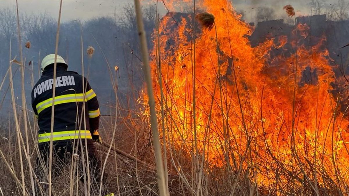 Peste 400 de gospodării din raionul Călărași au rămas fără gaz, în urma unui incendiu de vegetație