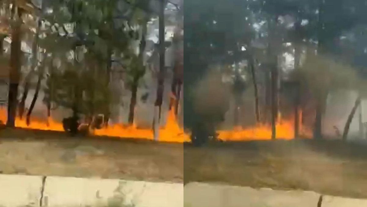 VIDEO/ Incediu de vegetație la Stăuceni. Două echipaje de pompieri trimise de urgență la fața locului