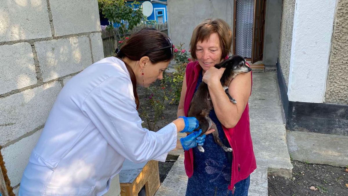 Medicii veterinari ai ANSA desfășoară o campanie de vaccinare contra rabiei. Recomandări pentru cetățeni