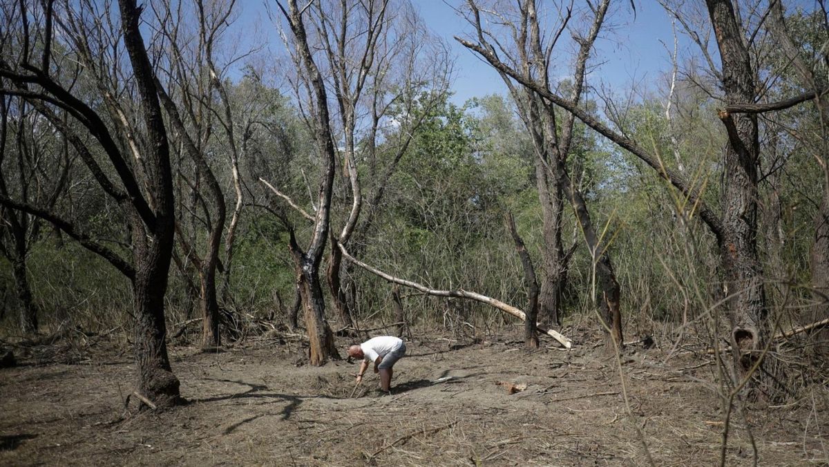 Autoritățile române au găsit noi fragmente de dronă rusească în județul Tulcea