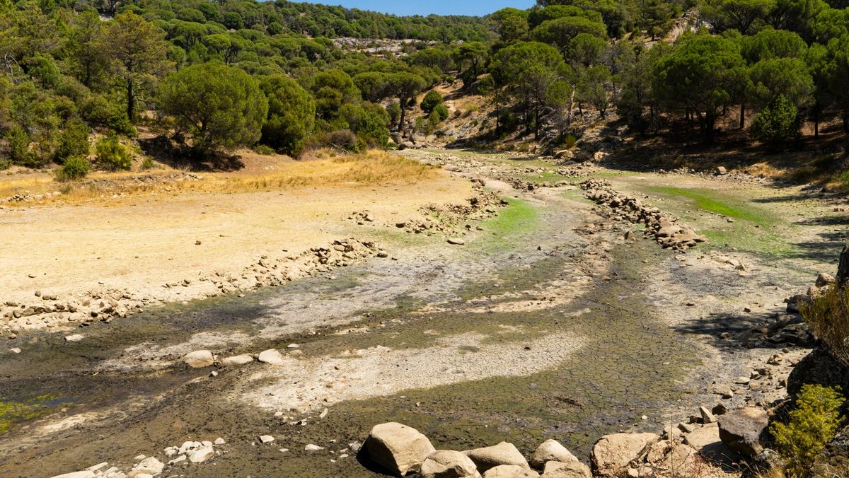 Râurile lumii seacă în cel mai rapid ritm din ultimii 30 de ani, avertizează Organizația Meteorologică Mondială