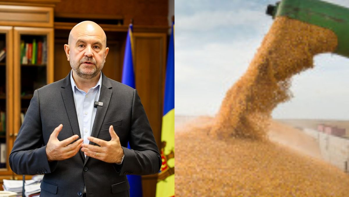 Ce noi măsuri a anunțat ministrul Agriculturii pentru fermierii moldoveni afectați de secetă