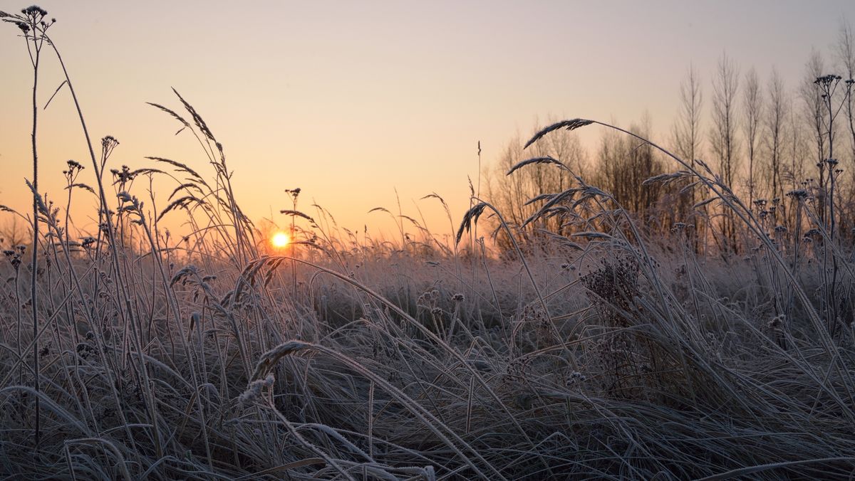 Ultima oră. Meteorologii au emis cod galben de înghețuri în R. Moldova