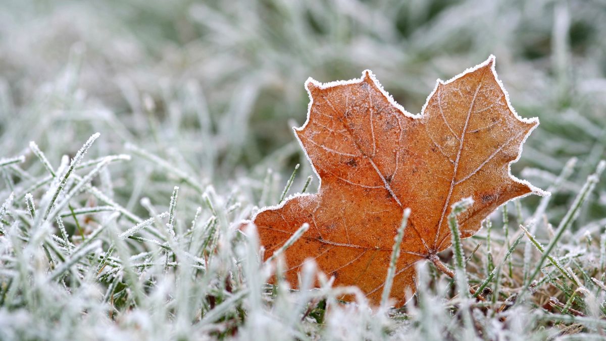 ATENȚIE! Un nou cod galben de înghețuri în R. Moldova. Temperatura va coborî până la -4°C