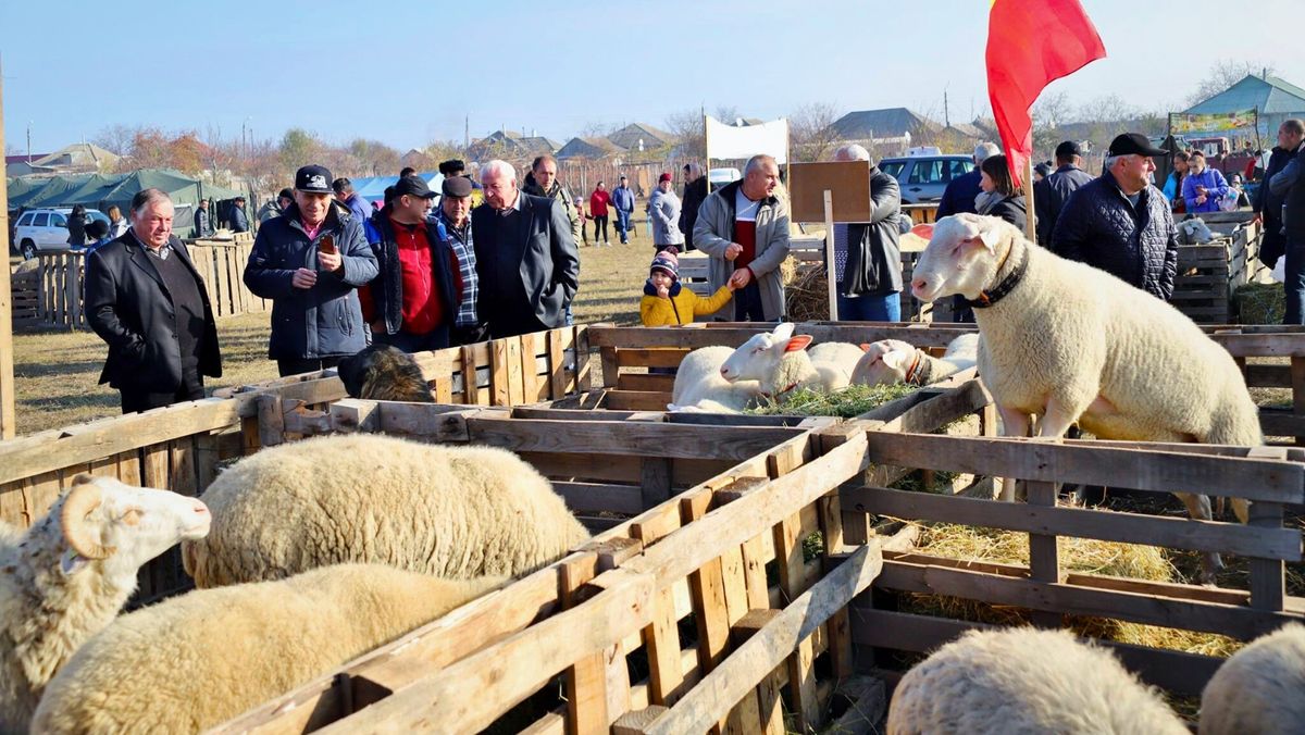 Cimișlia va găzdui în acest weekend o nouă ediție a Festivalului „Mioriță Laie, Laie Bucălaie”