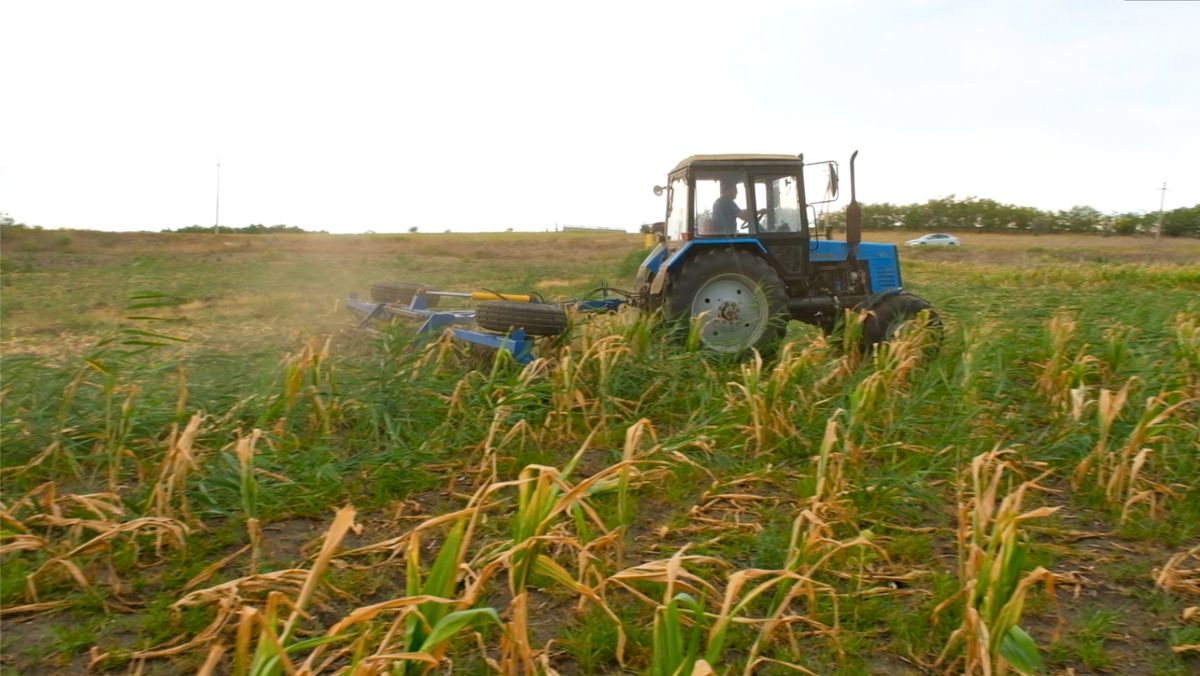 Noiembrie - Luna Agricultorului. Autoritățile vor organiza o serie de activități pentru a onora munca fermierilor