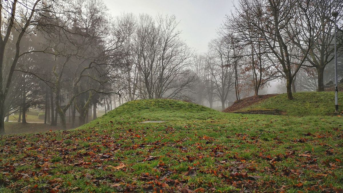 Vremea se răcește în toată țara. Ce temperaturi vor fi în weekend