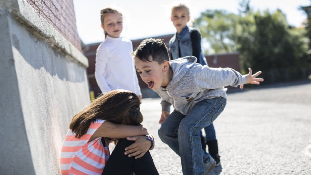 Săptămâna Anti-Bullying, desfășurată în toate școlile din ţară. Anunţul Ministerului Educaţiei