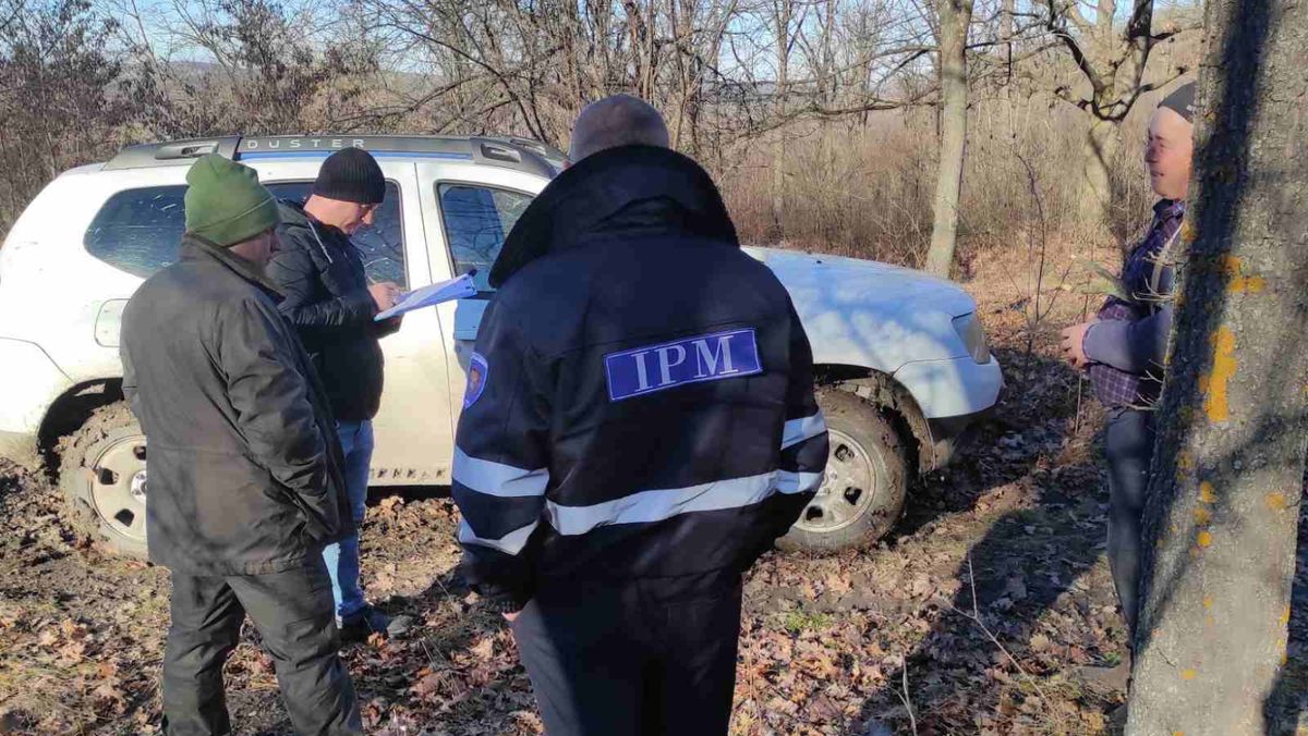 Tăieri ilegale de arbori într-o pădure din raionul Telenești